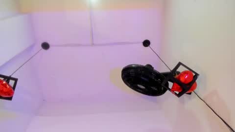 criss_zuri online show from 05/13/26, 11:51