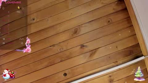 Cristal online show from 11/23/25, 04:12