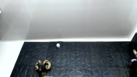 Hanna  online show from 06/12/26, 07:07