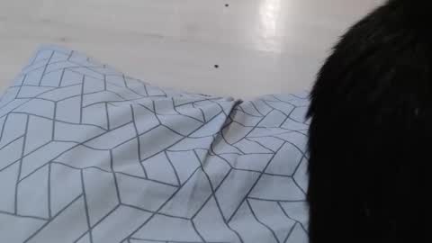 cristynaa36 online show from 11/05/25, 12:05