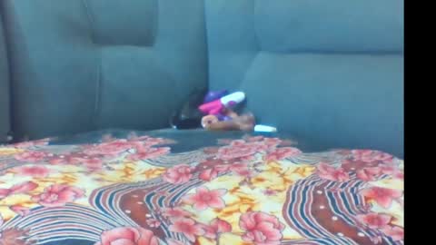 Snapshot of crystallgem chatting on 03/02/26, 01:07 crystallgem online show from 03/02/26, 01:07