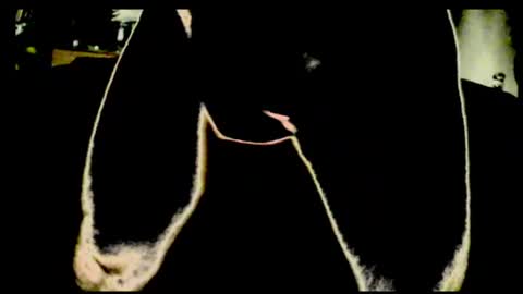 cum4me2i812 online show from 07/23/26, 12:46