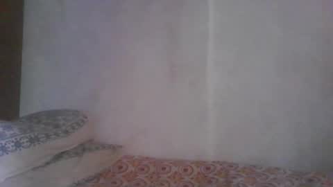 Snapshot of cum_l chatting on 03/12/26, 06:41 Noha online show from 03/12/26, 06:41