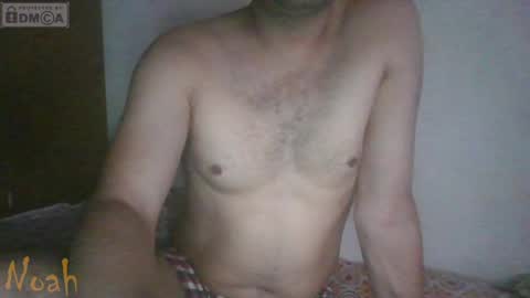 Snapshot of cum_l chatting on 04/08/26, 07:08 Noha online show from 04/08/26, 07:08