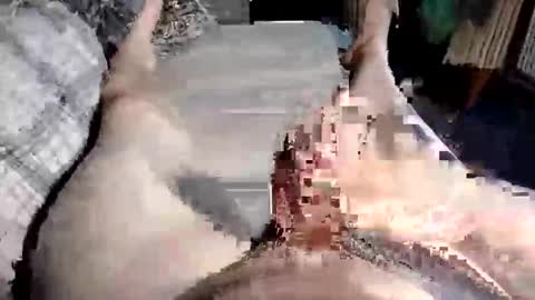 Snapshot of cuminher1975 chatting on 10/10/25, 10:47 Paul online show from 10/10/25, 10:47