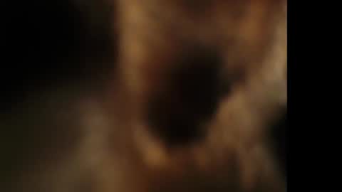 Snapshot of cumongiselle chatting on 10/25/25, 07:41 Giselle online show from 10/25/25, 07:41