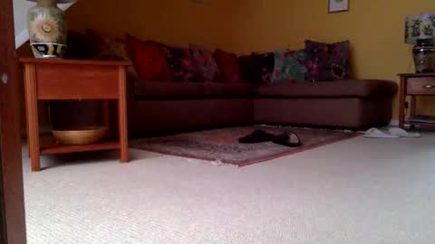 cumonherguys online show from 11/06/25, 08:04