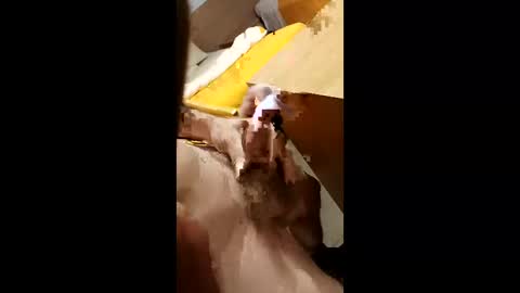 cunnemammaru online show from 12/16/25, 11:43