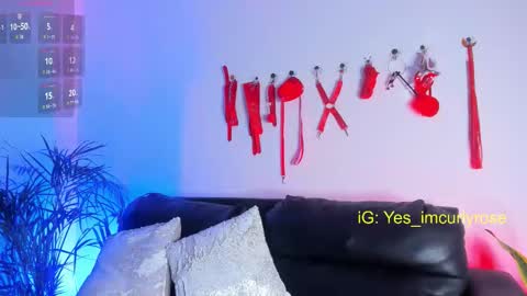 Rose online show from 11/24/25, 11:26