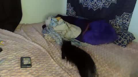 Cline  online show from 02/08/25, 04:47