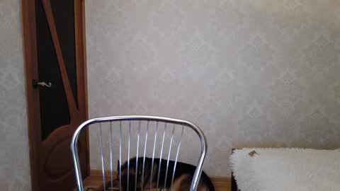 cute_strawberry_ online show from 12/09/24, 04:45