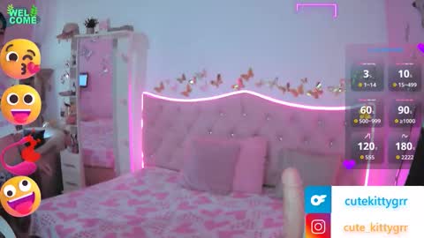 Kitty online show from 11/27/25, 03:03