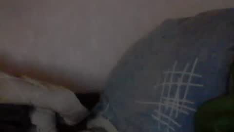 Snapshot of cutekattie chatting on 01/09/25, 03:58 cutekattie online show from 01/09/25, 03:58