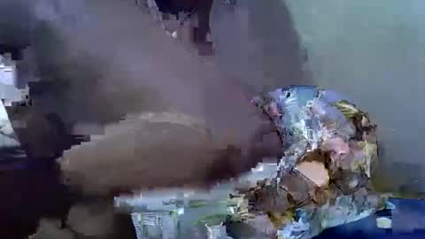 cutesexy44 online show from 10/18/25, 07:09