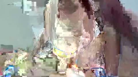 bella online show from 02/01/25, 01:55