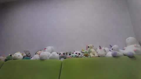 Chloe online show from 10/10/25, 12:53