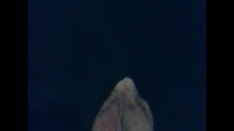 Snapshot of cutieguy86 chatting on 10/26/25, 01:33 CutieBoy online show from 10/26/25, 01:33