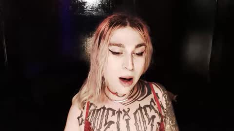 Snapshot of cybertrouble_ chatting on 11/24/25, 11:26 Nikki online show from 11/24/25, 11:26