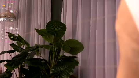 Ivy online show from 07/03/26, 03:35