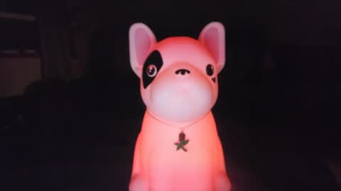 Snapshot of czechlove chatting on 10/01/25, 06:41 Andrew Thomas online show from 10/01/25, 06:41