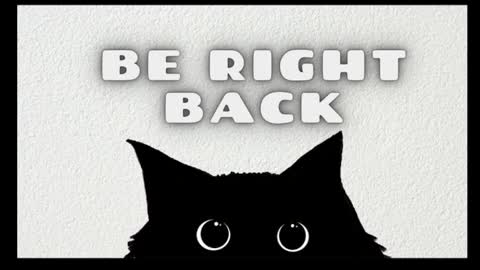 DachsKevin online show from 07/25/26, 10:57