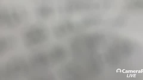 Tommy online show from 11/02/25, 01:24