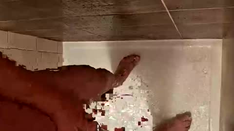 LetsHaveFunTogether online show from 10/29/25, 07:10