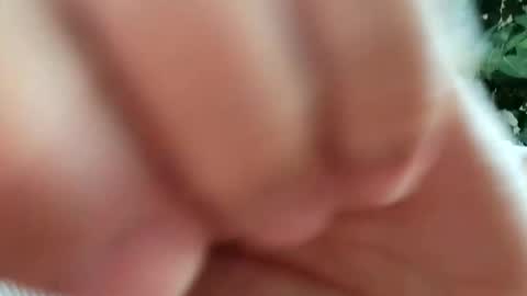 daddydick926 online show from 09/11/25, 01:22