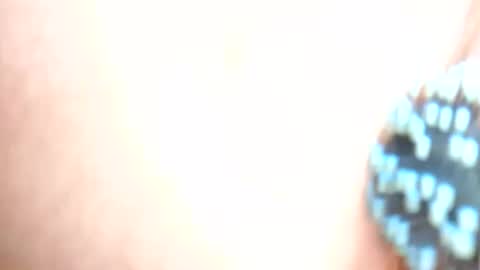 Snapshot of daddydigbick87 chatting on 10/29/25, 08:16 daddydigbick87 online show from 10/29/25, 08:16