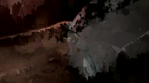 Snapshot of daddywhite88 chatting on 03/05/25, 11:17 daddywhite88 online show from 03/05/25, 11:17