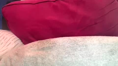 daddyy008 online show from 09/10/25, 09:48