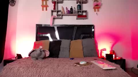 daenerys_cat online show from 01/31/25, 12:07