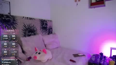 daenerys_cat online show from 03/01/25, 03:05