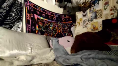 DaintyDarling online show from 02/21/25, 06:48