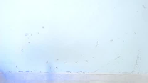 VALENTINA  online show from 10/16/25, 08:48