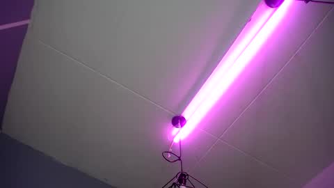     online show from 01/28/25, 08:14