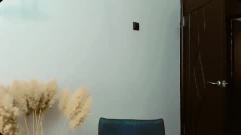 Snapshot of dalidayes chatting on 09/13/25, 05:40 Dali online show from 09/13/25, 05:40