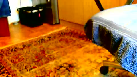 Dammerl online show from 12/02/25, 01:17