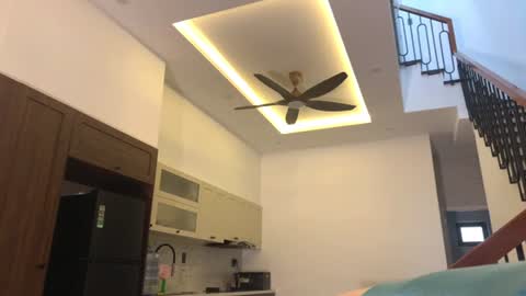 Dana online show from 07/05/26, 04:19
