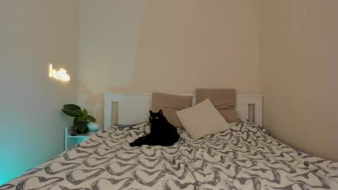 Snapshot of danabananaa chatting on 12/01/25, 10:15 Dana online show from 12/01/25, 10:15