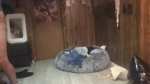 Snapshot of danamaris666 chatting on 09/25/25, 07:28 DanaMaris666 online show from 09/25/25, 07:28