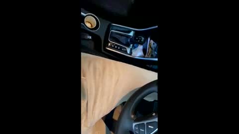 danbubs online show from 12/16/24, 10:45