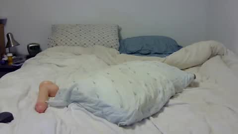 Snapshot of dandyhandys chatting on 02/07/25, 02:19 Andy online show from 02/07/25, 02:19