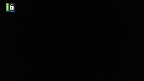 Snapshot of danemetsen5 chatting on 02/11/25, 02:46 Dan online show from 02/11/25, 02:46