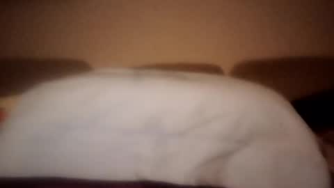 Snapshot of dani225812 chatting on 09/18/25, 08:44 Dani225812 online show from 09/18/25, 08:44