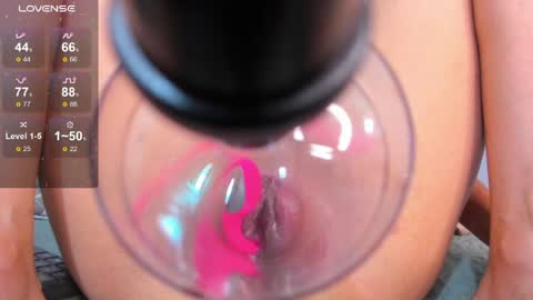 DANIA online show from 05/13/26, 04:10