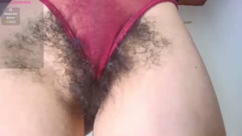 DANIA online show from 06/25/26, 02:44