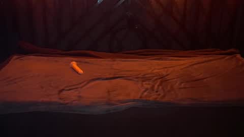 Snapshot of danielareign chatting on 12/20/25, 07:26 danielareign online show from 12/20/25, 07:26