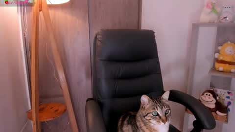 Snapshot of daniellerose_ chatting on 11/02/25, 08:22 Danielle Rose online show from 11/02/25, 08:22