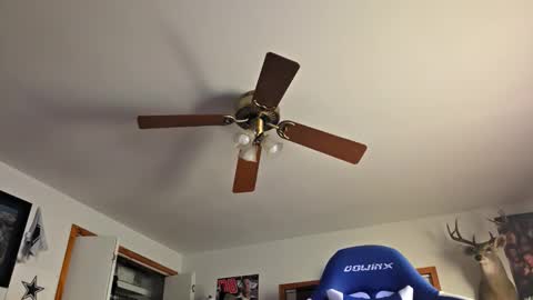 Snapshot of danielp_mod_cb chatting on 10/22/25, 11:15 Daniel    y. online show from 10/22/25, 11:15